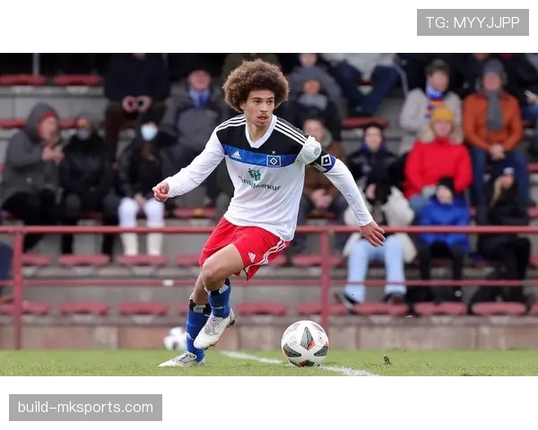 汉堡主帅战术革新引领球队崛起